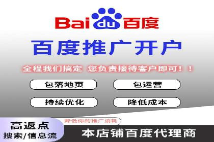 百度SEM推广案例解析：成功秘诀大公开